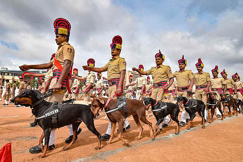 Security personnel with sniffer dogs