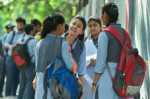 How much freedom do students have while choosing their undergraduate course?