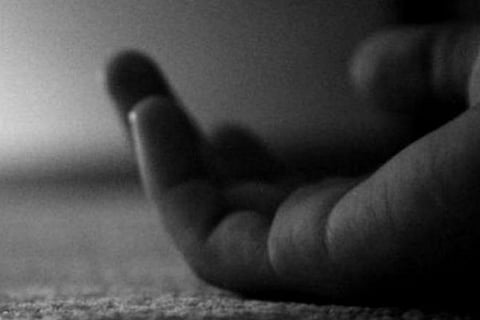 SHRC issues notice to Guntur Collector after stray dogs maul 4-yr-old to death