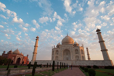 Taj Corridor now an animal graveyard, garbage dump