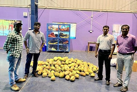 Tender thanks: Delta farmers gift Cyclone Gaja volunteers truckload of fresh coconuts