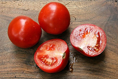 Tomato price surge explained: Why the humble vegetable is burning a hole in people's pockets