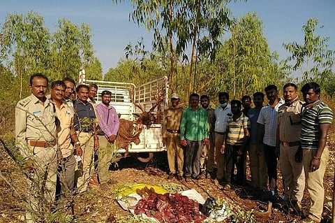 COVID-19 lockdown: Karnataka sees jump in man-made forest fires, poaching cases