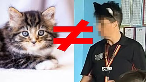 CATWOMAN: Aussie teacher who identifies as a furry caught licking students