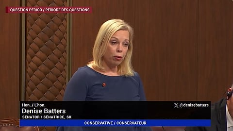 Conservative-appointed Sen. Denise Batters