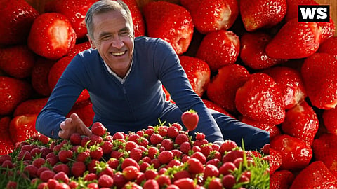Mark Carney