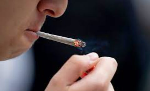 cannabis