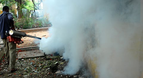Corporation wilts under mosquito invasion