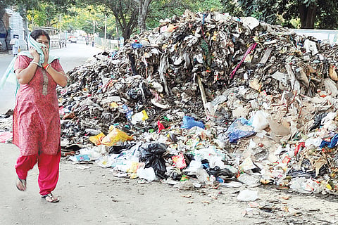 Grand plan of 24/7 sweeping, garbage collection in busy areas 