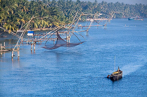 Kochi declared biennale city