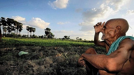 Rains ravage crops worth Rs 4.15 crore