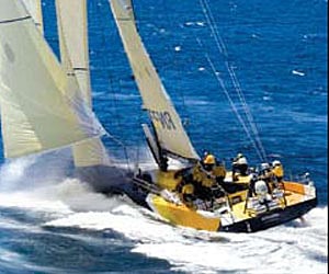 Sailing for the whales