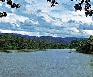 River nest