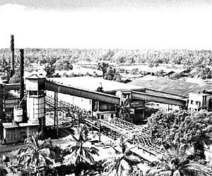 A panoramic view of the KMML factory alongside the green belt.