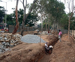 Fencing work in progress at Lalbagh.