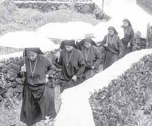 A still from 'Nurunguvettangal.' (inset) Leo Thaddeus.