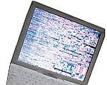 Kochiites smitten by techstuff