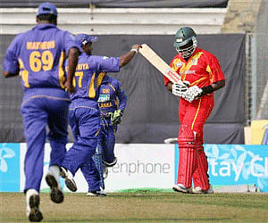Sri lankan players celebrate the wicket of Zimbabwe batsman Stuart Matsikenyeri (Photo: AP)
