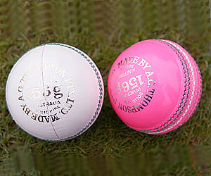 In the pink: English counties to trial new pink ball. (File photo)