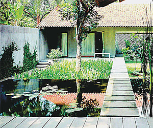 Using trees usefully