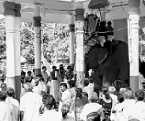 Aarattu procession being taken out from the Thrippara Lord Mahadeva Temple as part of the Shivarathri celebrations on Monday.