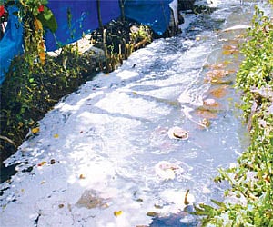 Industrial effluents flowing into the Kuzhikandam creek at Eloor/P K Jeevan Jose.