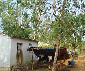 Huts in Indira Colony, a Dalit settlement in Sivaganga, which have no electricity.