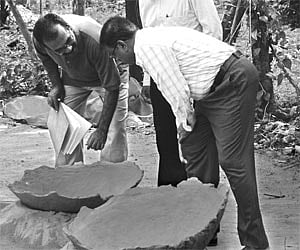 M Rajendran, K Rajan and P J Cherian examining the remains of two handmaid terracotta storage jars recovered from the Trench PT 09 XIII, at a depth of