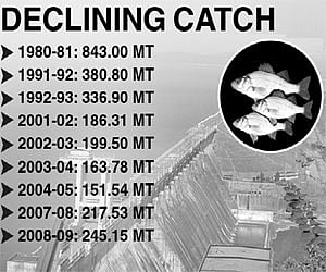 Fish population in HDR down