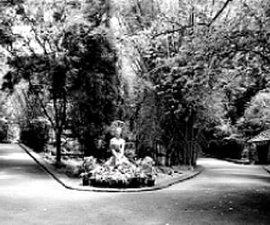 The Bioresource Nature Park at Nilambur.