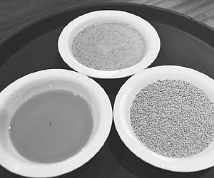 Mustard seeds and oil have been in use since the early times of the Roman rulers. ENS