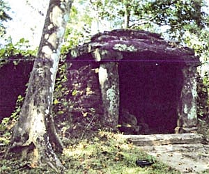 The ruins of the Shiva temple in the dense forests at Tenkal village near Sirsi | Express Photo