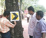 TRDCL workers pasting a reflective sign on a tree near Museum Junction on Tuesday/Rajeev Prasad.