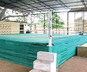 City all set to turn a hub of entertainment