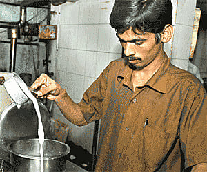 On the kaapi trail