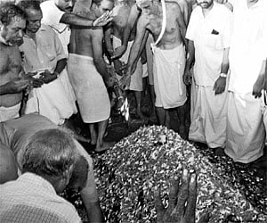 The kin of NSS president P K Narayana Panicker performing his last rites at Vazhapally  in Changanassery on Thursday  | Rajeev Prasad