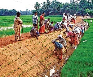Cotton nets used for road construction at Kuttanad in Kerala
