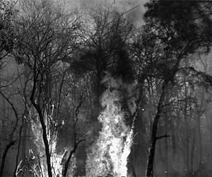 A file photo of the forest fire in Shettihalli Wildlife Sanctuary | EPS