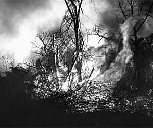 The fire of concern