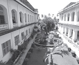 The trees and potted plants around the Sacred Heart College