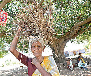 An 80-year-old at Vachathi