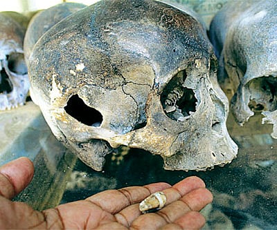 A view of the skull museum that displays around 5,000 skulls.
