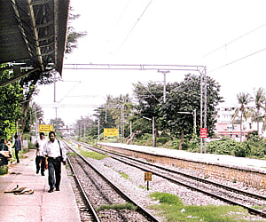 Overgrown shrubs on tracks spotted at the Banaswadi Railway Station.