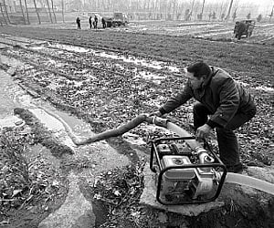A Chinese farmer watering his drought-stricken wheat field in Luoyang, north China’s Henan province.