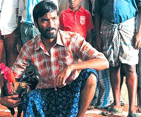 A still from 'Aadukalam' (Pic: ENS).