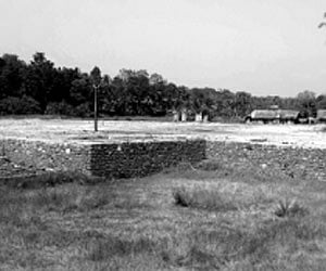 Brick-making eating into paddy fields