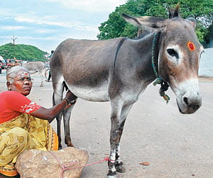 Image used for representation only.