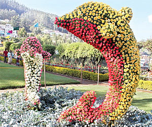 Heading to Ooty for a break? Hotels rent is high