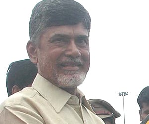 TDP president Chandrababu Naidu (PTI)