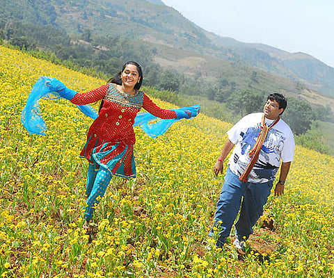 Amayakudu